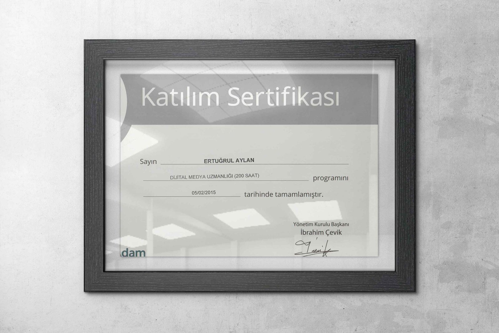 Web ve Grafik Tasarım Eğitimi