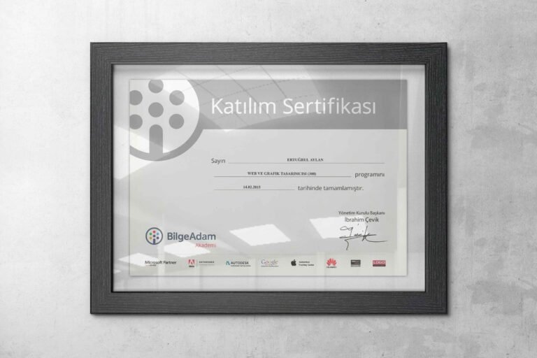 Dijital Medya Pazarlama eğitimi sertifikası